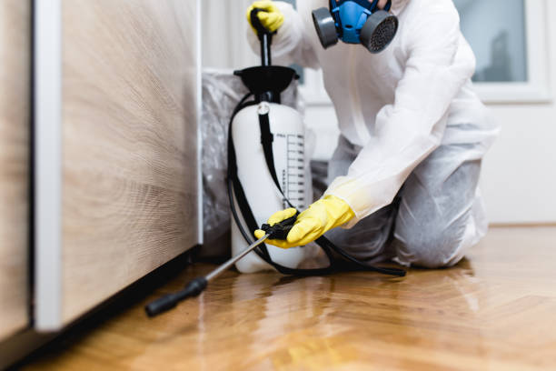 Best Commercial Pest Control Services  in Franklin, TX