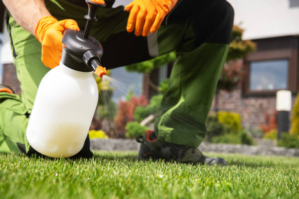 Best Cockroach Control Services  in Franklin, TX