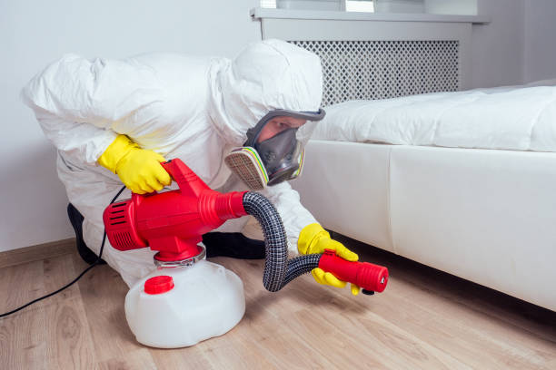 Best Pest Control Near Me in Franklin, TX