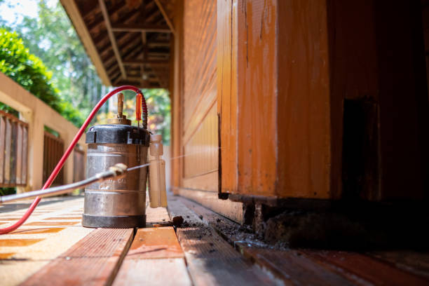 Best Pest Prevention Services  in Franklin, TX