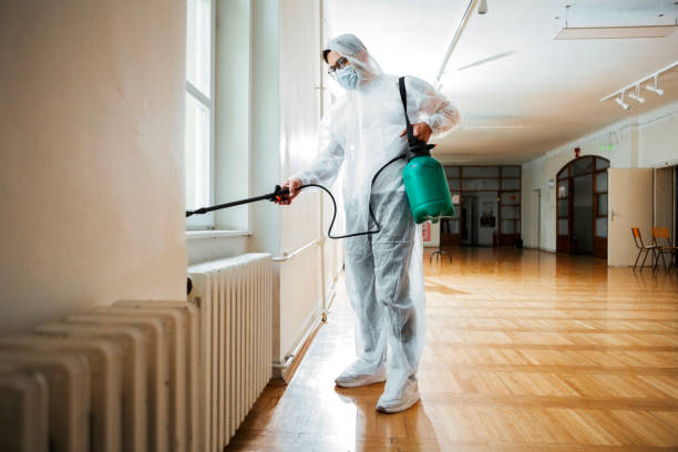 Best Affordable Pest Control Services  in Franklin, TX