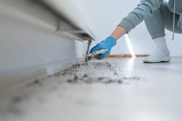 Pest Prevention Services in Franklin, TX